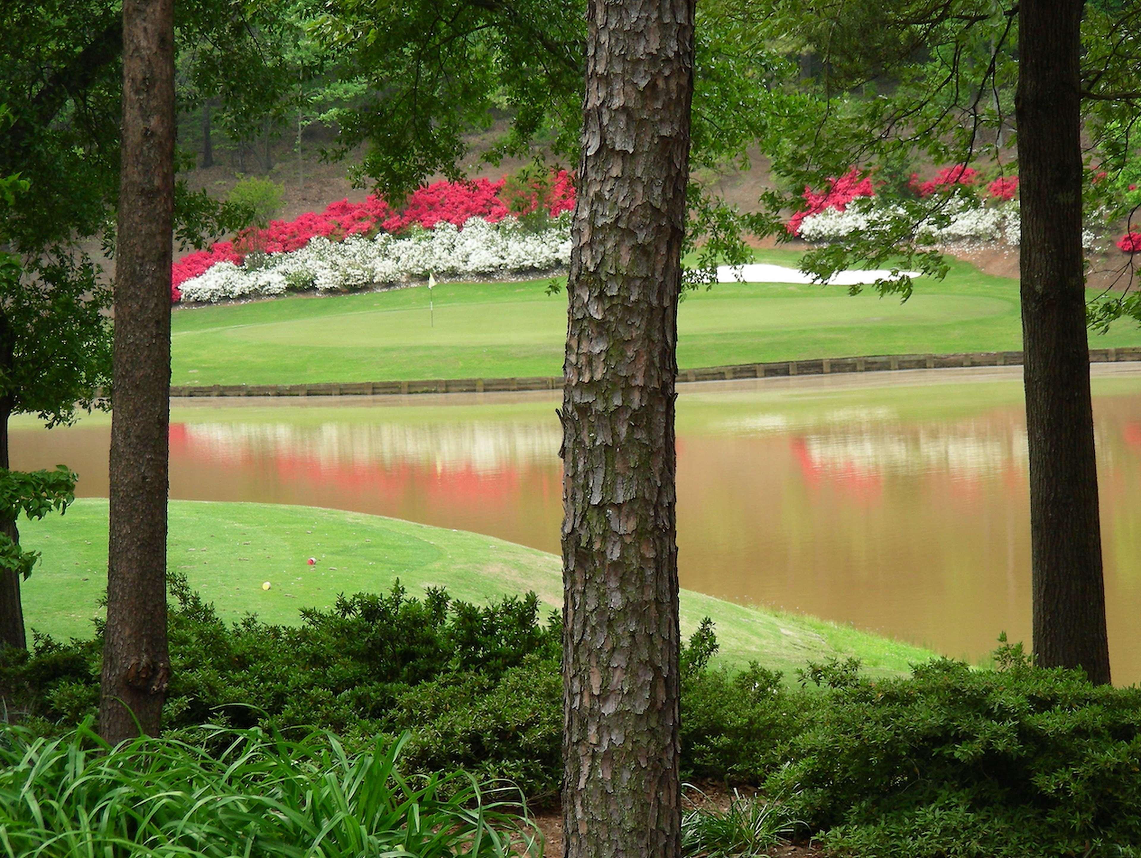 Embassy Suites Greenville Golf Resort & Conference Center Екстер'єр фото